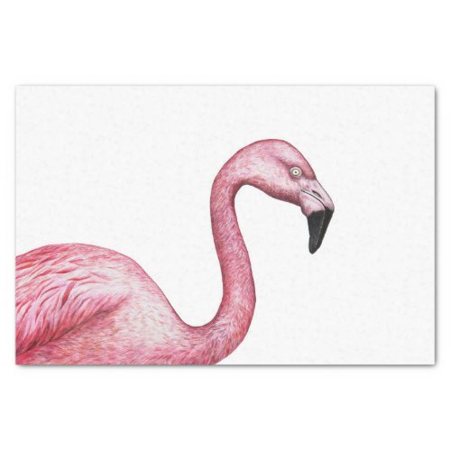 The Flamingo Tissue Paper