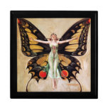 The Flapper Girls Metamorphosis Butterfly 1922 Gift Box