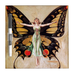 The Flapper Girl's Metamorphosis to Butterfly 1922 Dry Erase Board
