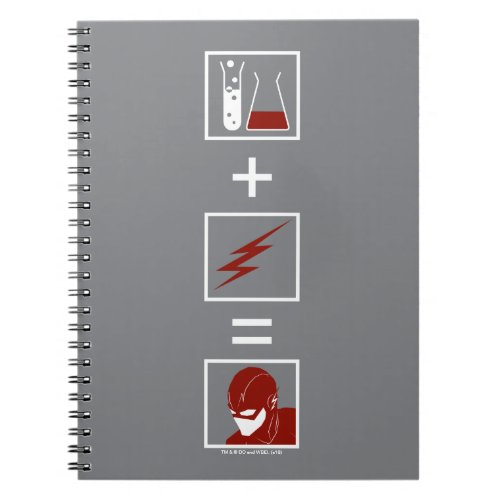 The Flash  Flash Equation Notebook
