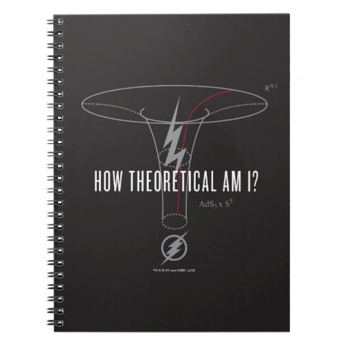The Flash  How Theoretical Am I Notebook