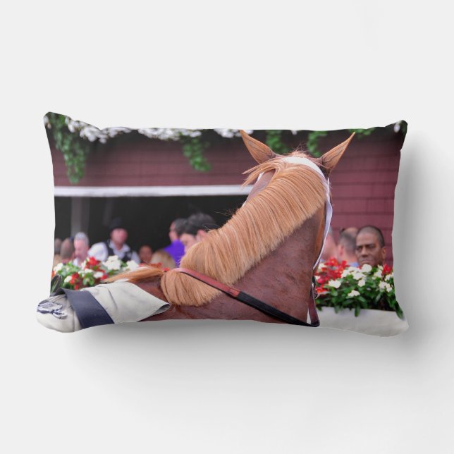 The Flaxen "All Included" Lumbar Pillow (Front)