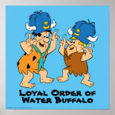 Loyal Order Of Water Buffaloes Hat Male