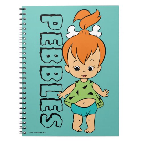 The Flintstones  Pebbles Flintstone Notebook