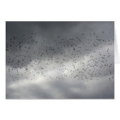 The Flock Card (Front Horizontal)