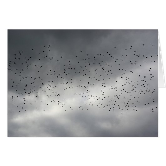 The Flock Card (Front Horizontal)