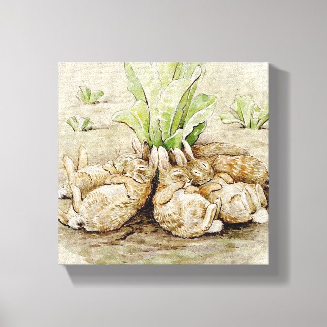 The Flopsy Bunnies Asleep (by Beatrix Potter) Canvas Print (Front)