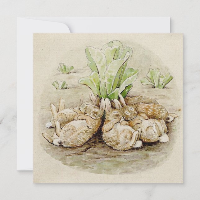 The Flopsy Bunnies Asleep (by Beatrix Potter) Card (Front)
