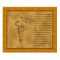 The Florence Nightingale Pledge