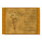 The Florence Nightingale Pledge