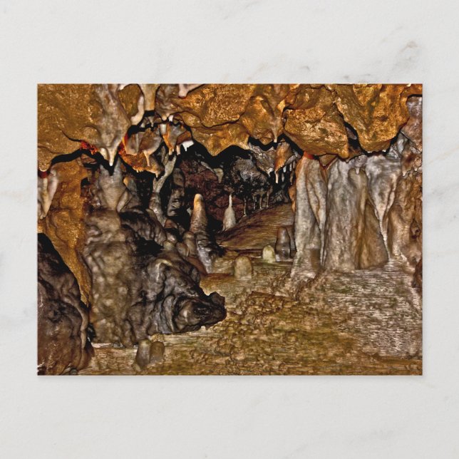 The Florida Caverns I. Postcard (Front)