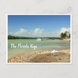 The Florida Keys photo scene with boat and bird Postcard
