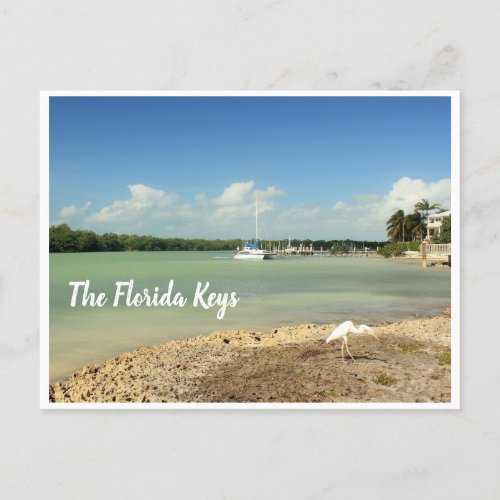 The Florida Keys photo scene with boat and bird Postcard