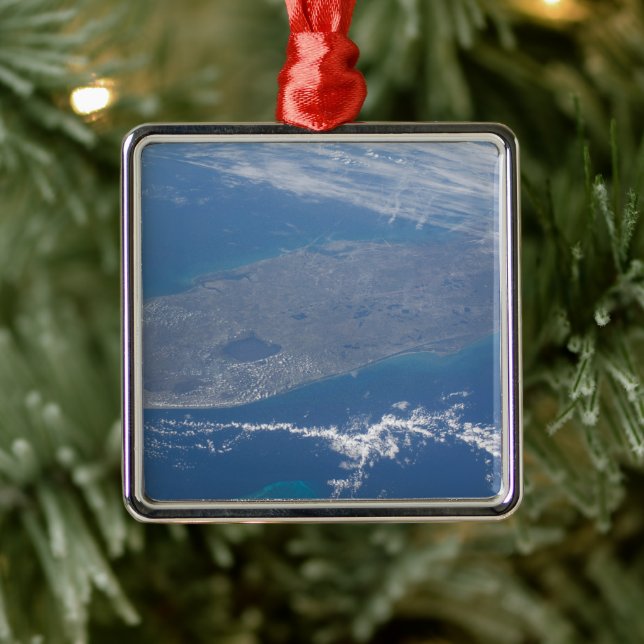 The Florida Peninsula. Metal Ornament (Tree)