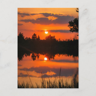 The Florida Sky #5 Postcard