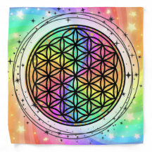 The “Flower of Life" pattern with a surrounded by