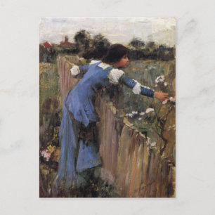 The Flower Picker Postcard