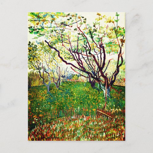 The Flowering Orchard 1888 by Vincent Van Gogh Postcard