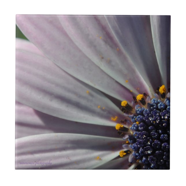 The Flowers Within Ceramic Tile (Front)