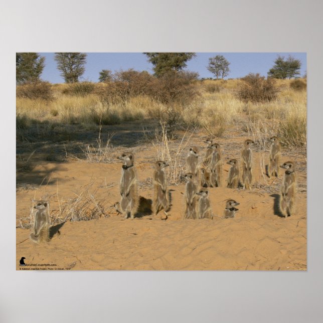 The Fluffernutter Collection - Family Poster (Front)