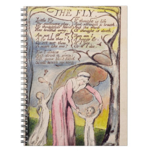 'The Fly', plate 37 from 'Songs of Innocence and o Notebook