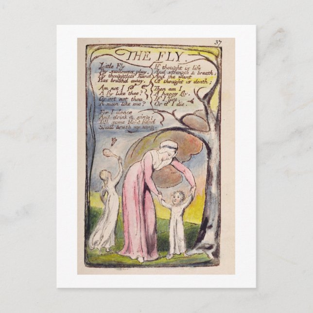 'The Fly', plate 37 from 'Songs of Innocence and o Postcard (Front)
