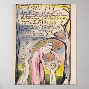 'The Fly', plate 37 from 'Songs of Innocence and o Poster