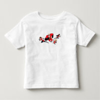 The Flying Incredibles Disney
