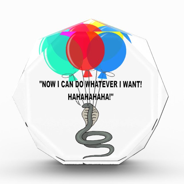 The Flying Snake Award (Front)