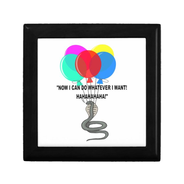 The Flying Snake Jewelry Box (Front)