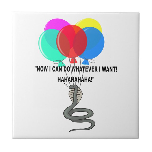 The Flying Snake Tile (Front)