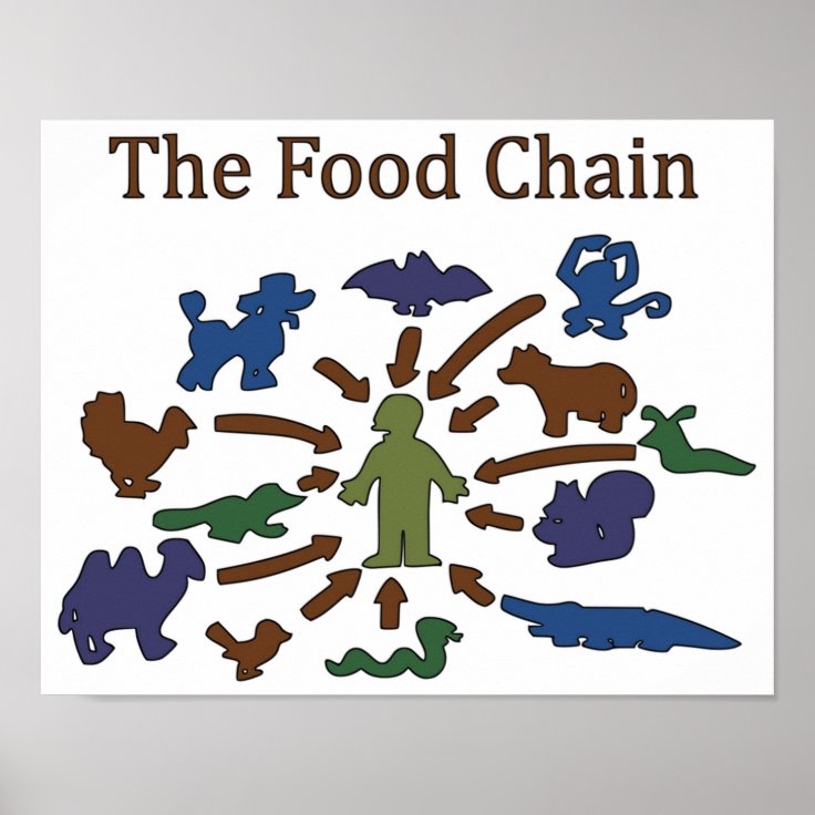 The Food Chain Poster Biology Diagrams