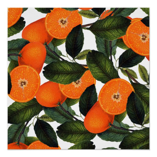 The forbidden orange poster 20x20 (Front)