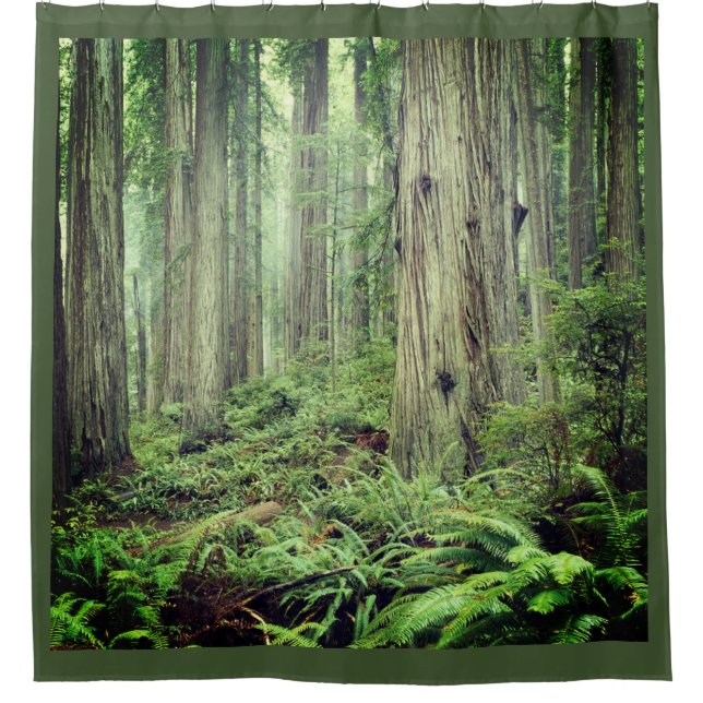 THE FOREST 4 SHOWER CURTAIN (Front)