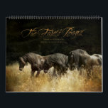 The Forest Boyz – Heavenly Homeland Calendar<br><div class="desc">Do you wonder if there is such a thing as heaven on earth? There is… meet the Forest Boyz. Meike, Menno and Saphire are Friesian stallions that live free in a bachelor herd in the forests of the northern California coast. They have been together since they were yearlings and their...</div>