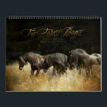 The Forest Boyz – Heavenly Homeland Calendar<br><div class="desc">Do you wonder if there is such a thing as heaven on earth? There is… meet the Forest Boyz. Meike, Menno and Saphire are Friesian stallions that live free in a bachelor herd in the forests of the northern California coast. They have been together since they were yearlings and their...</div>