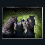 The Forest Boyz – Living the Dream Calendar<br><div class="desc">Do you wonder if there is such a thing as heaven on earth? There is… meet the Forest Boyz. Meike, Menno and Saphire are Friesian stallions that live free in a bachelor herd in the forests of the northern California coast. They have been together since they were yearlings and their...</div>