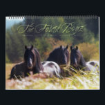 The Forest Boyz – Never Alone Calendar<br><div class="desc">Do you wonder if there is such a thing as heaven on earth? There is… meet the Forest Boyz. Meike, Menno and Saphire are Friesian stallions that live free in a bachelor herd in the forests of the northern California coast. They have been together since they were yearlings and their...</div>