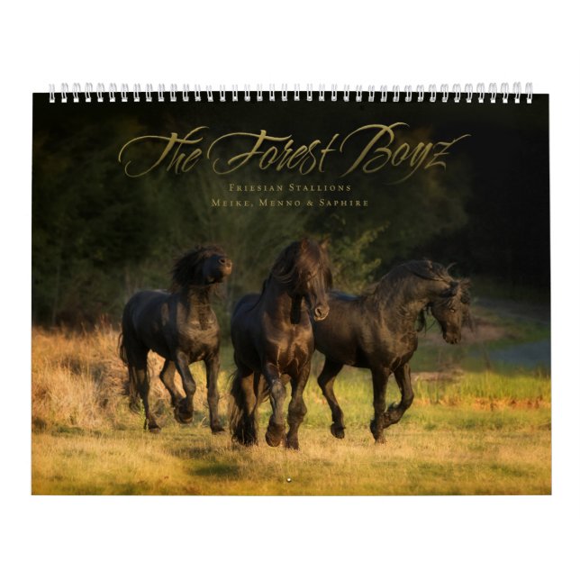 The Forest Boyz – Renegades Calendar (Cover)