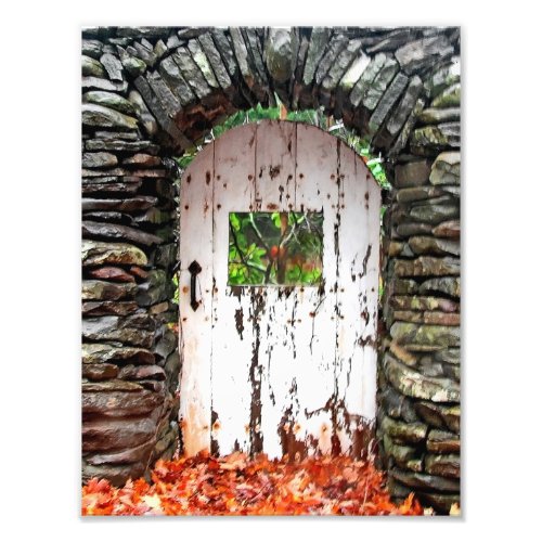 The Forest Door Photo Print