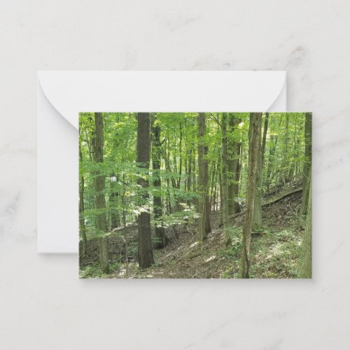The forest notecards