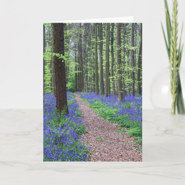 The Forest of Halle | Halle, Belgium Card (Front)