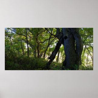 The Forest Poster