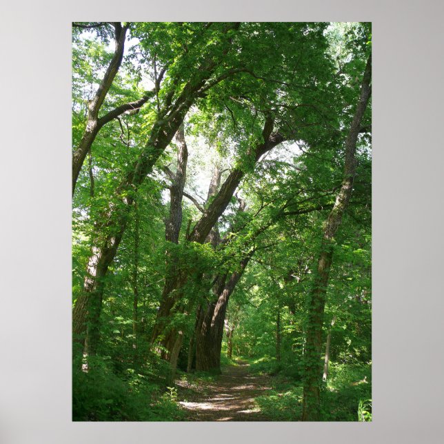 The Forest Poster (Front)