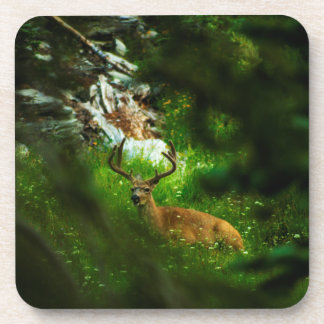 The Forest Prince Beverage Coaster