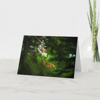 The Forest Prince Card