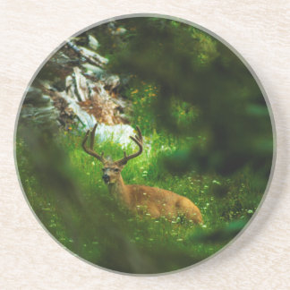 The Forest Prince Coaster