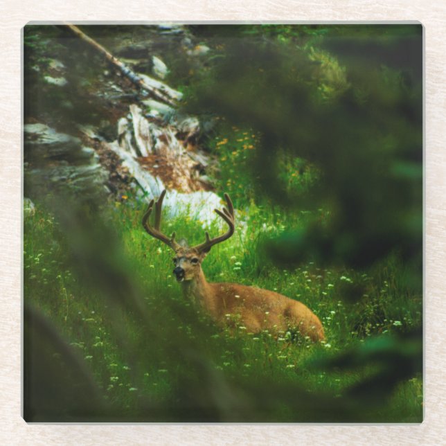 The Forest Prince Glass Coaster (Front)