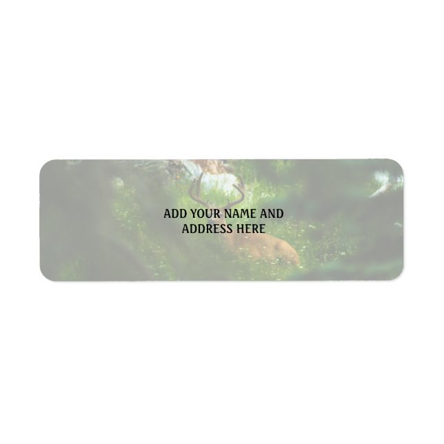 The Forest Prince Label (Front)