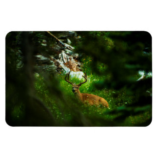 The Forest Prince Magnet